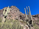photo thumbnail #3