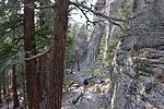 photo thumbnail #15