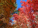 photo thumbnail #8