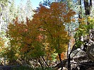 photo thumbnail #5