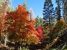photo thumbnail #4