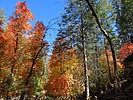 photo thumbnail #10