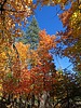 photo thumbnail #12