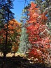 photo thumbnail #15