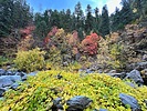 photo thumbnail #3