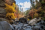 photo thumbnail #15