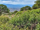 2023-05-19 :2: Juniper Flats Mountain :: DixieFlyer