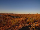 photo thumbnail #4