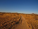 photo thumbnail #9