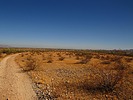 photo thumbnail #15