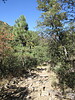 2023-10-28 :2: Agua Caliente Trail #140 :: Jim
