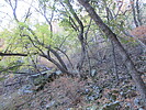 photo thumbnail #11