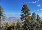 photo thumbnail #3