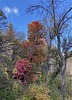 photo thumbnail #4