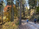 photo thumbnail #12