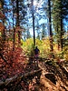 photo thumbnail #5