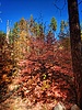 photo thumbnail #12