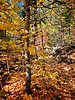 photo thumbnail #13
