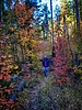 photo thumbnail #15