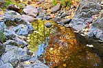 photo thumbnail #12