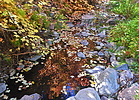 photo thumbnail #15