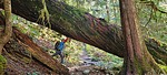 photo thumbnail #5
