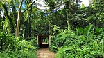 photo thumbnail #11