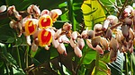 photo thumbnail #8