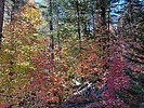 photo thumbnail #9