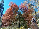 photo thumbnail #8