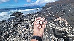 photo thumbnail #11