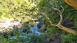 photo thumbnail #12