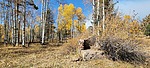 photo thumbnail #7