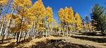 photo thumbnail #2
