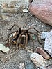 photo thumbnail #5