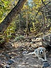 photo thumbnail #6