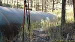photo thumbnail #9