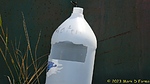 photo thumbnail #11