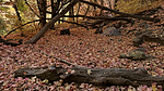 photo thumbnail #2