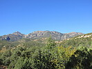 photo thumbnail #1