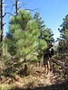 2023-11-04 :1: Cave Canyon Trail #149 :: Jim