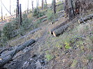 photo thumbnail #10