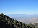 photo thumbnail #12