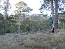 photo thumbnail #13