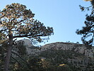 photo thumbnail #14