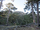photo thumbnail #15