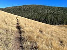 photo thumbnail #12