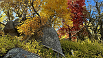 photo thumbnail #13