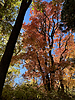 photo thumbnail #12