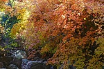 photo thumbnail #3